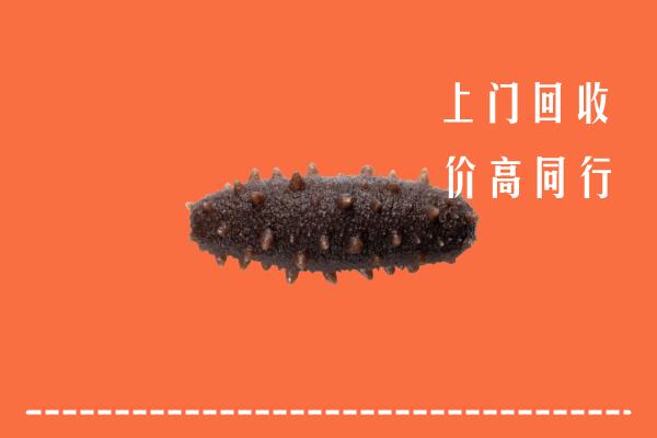 高价求购：闽侯县回收海参