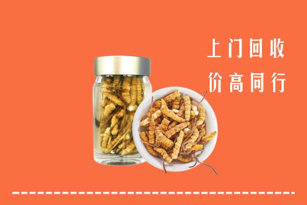闽侯县回收冬虫夏草