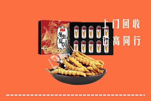 闽侯县回收虫草